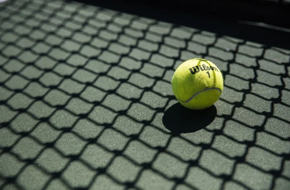Wilson Championship Extra Duty Tennis Balls - 3 Ball Can