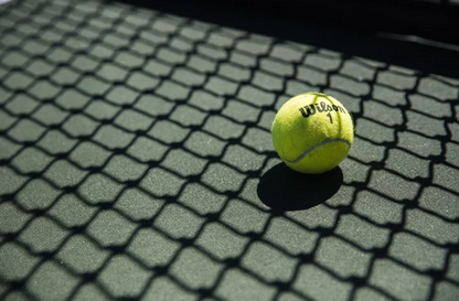 Wilson Championship Extra Duty Tennis Balls - 3 Ball Can