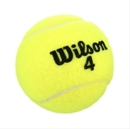 Wilson Championship Extra Duty Tennis Balls - 3 Ball Can