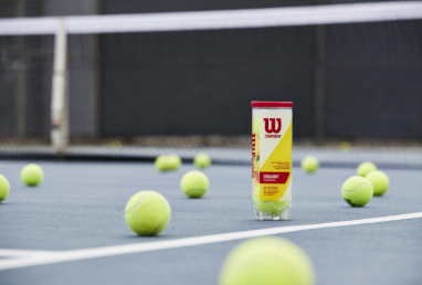 Wilson Championship Extra Duty Tennis Balls - 3 Ball Can